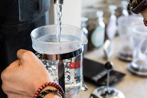 Adding clean fresh water to French press 