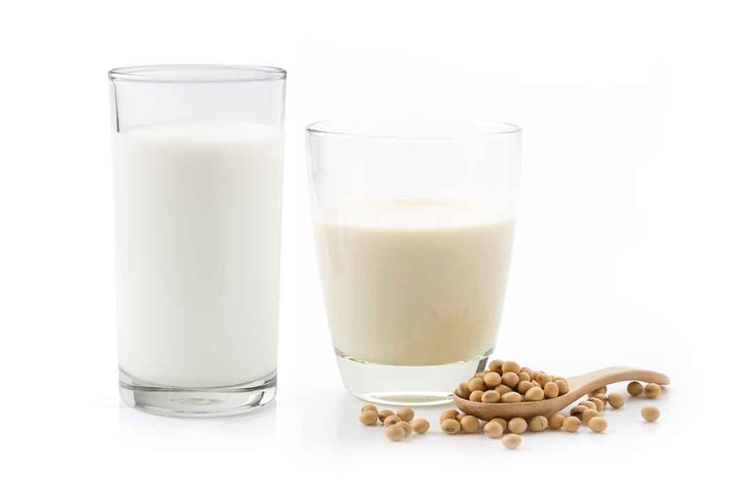 soy milk and cow's milk