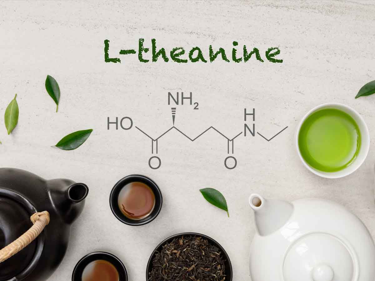 L-theanine chart