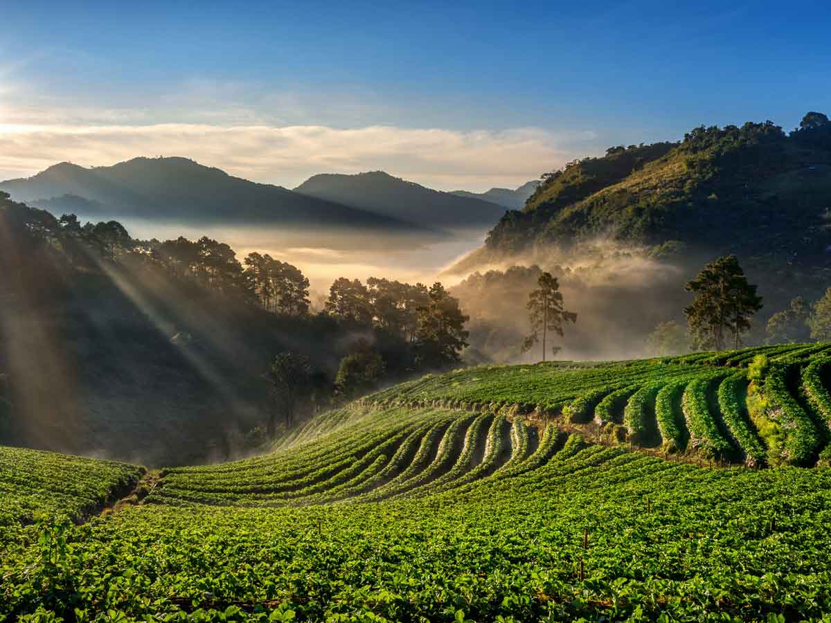 Taiwan’s high mountain