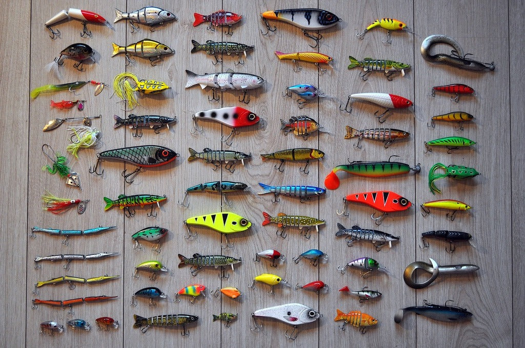 Live Bait Or Artificial Lure: Which Should You Use?
