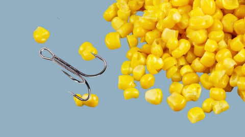 How to use corn as fishing bait