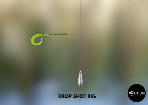 Drop shot rig