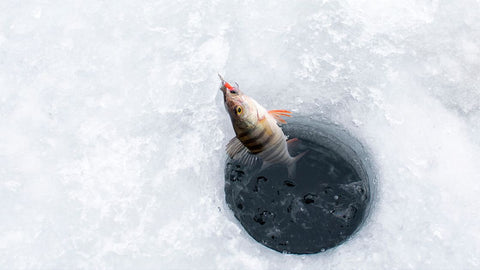 Ice Fishing: Gear, Rig, Techniques, and Safety