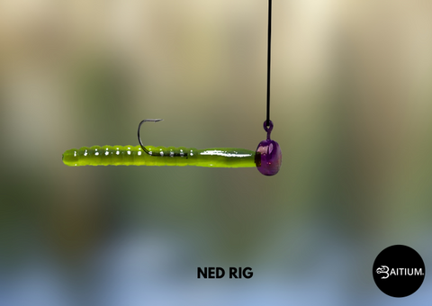 Ned rig