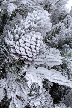 Albero di Natale Artificiale Innevato con Luci LED Abete del Gargano Verde  Varie Misure – acquista su Giordano Shop