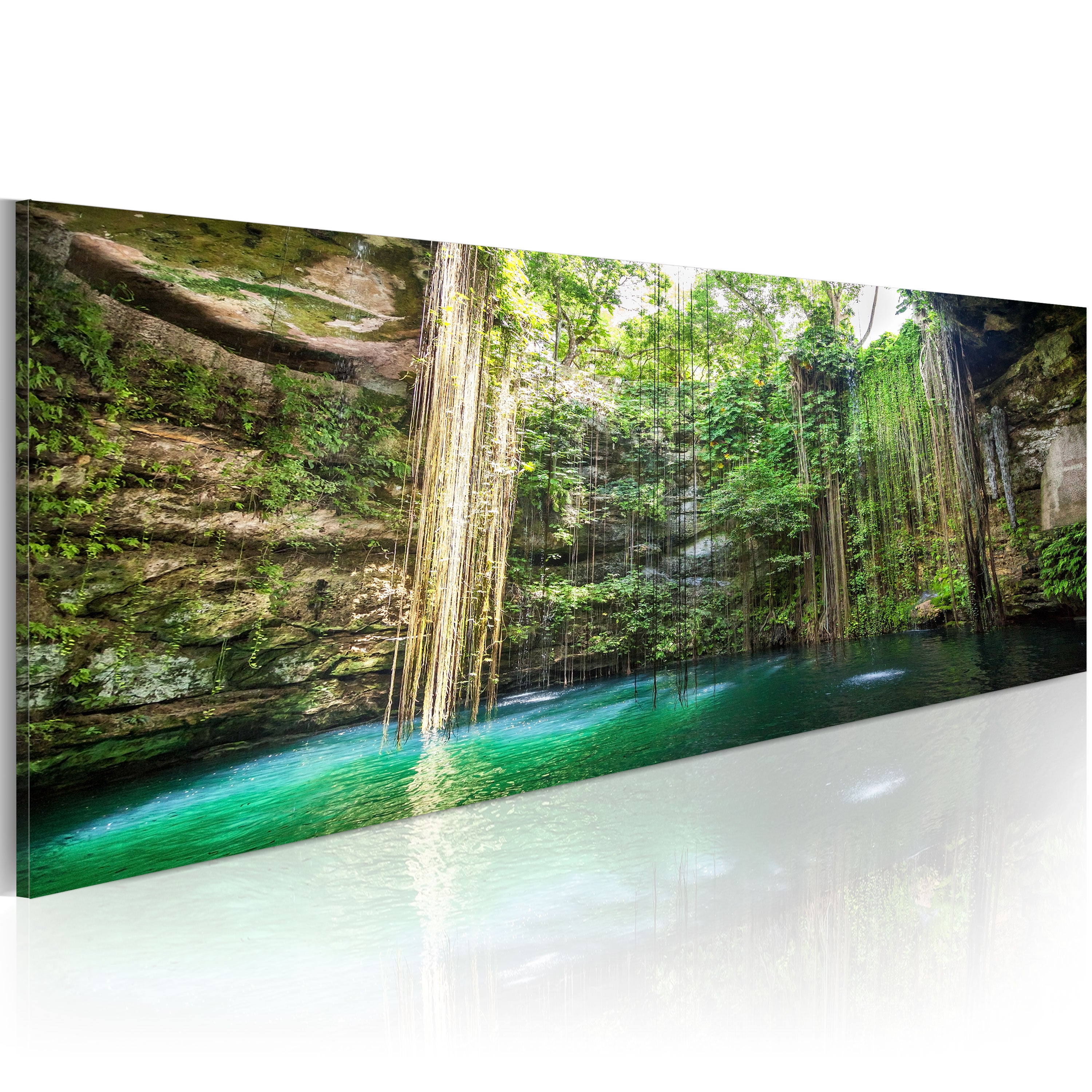 erroi quadro - hidden treasure of the nature 120x40cm uomo