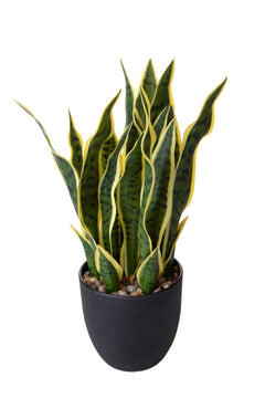 Pianta Artificiale Dracena H110 cm con Vaso Verde – acquista su