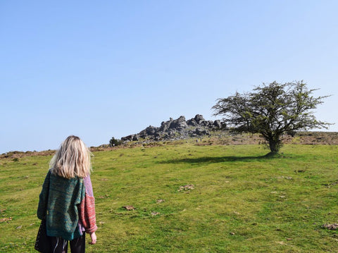 Dartmoor National Park