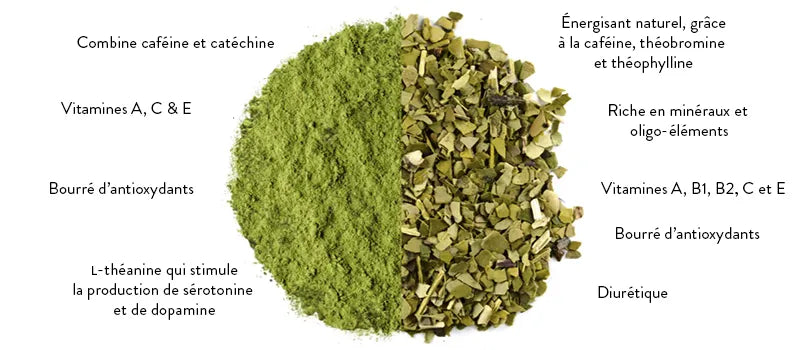 Maté and Matcha comparison