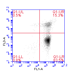 Annexin V Positive Control