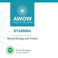 Stamina: Energy and Vitality for Men