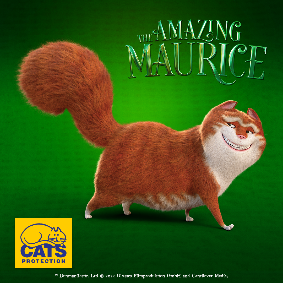 @CatsProtection team up with Maurice - The Amazing Maurice Film