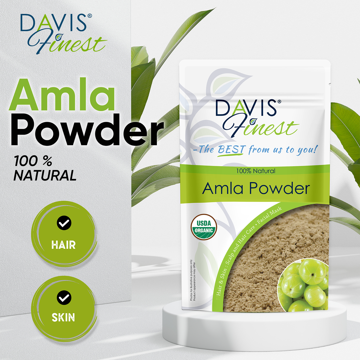 Amla Powder