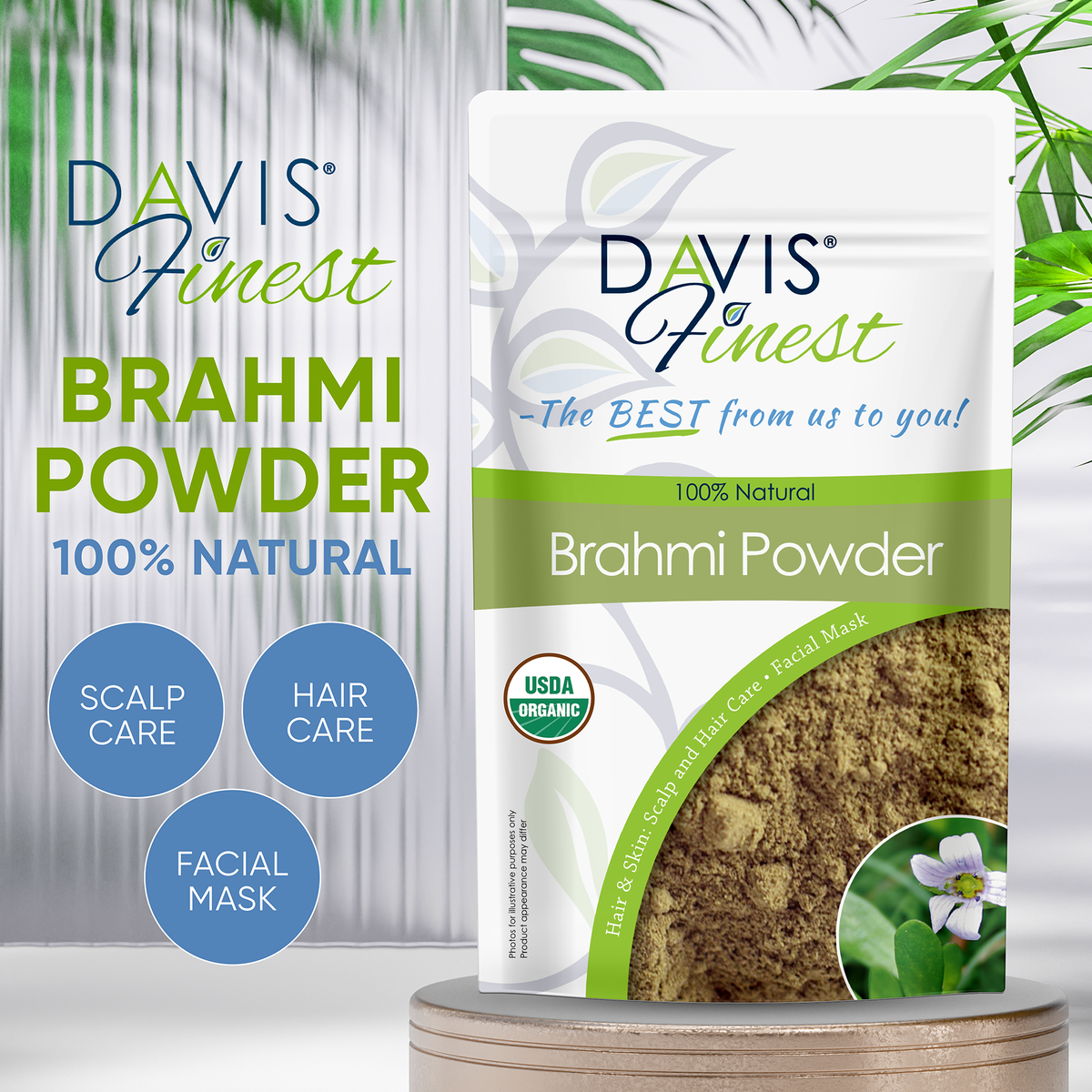 Brahmi Powder