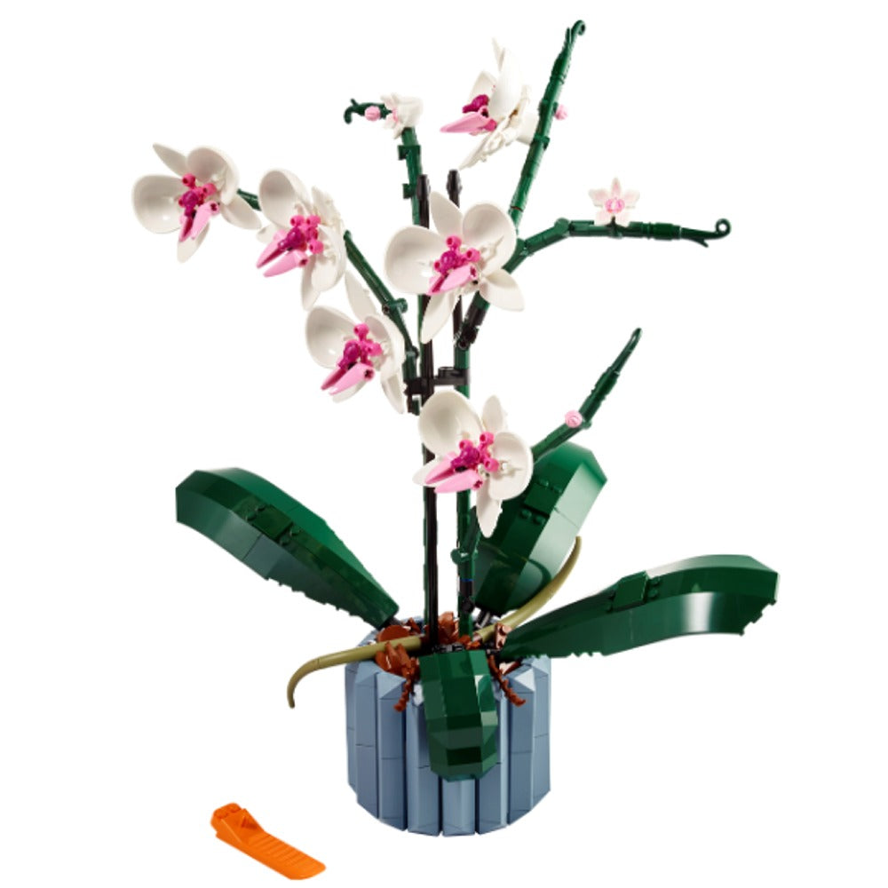 Orquídeas – Bricks Store Ecuador