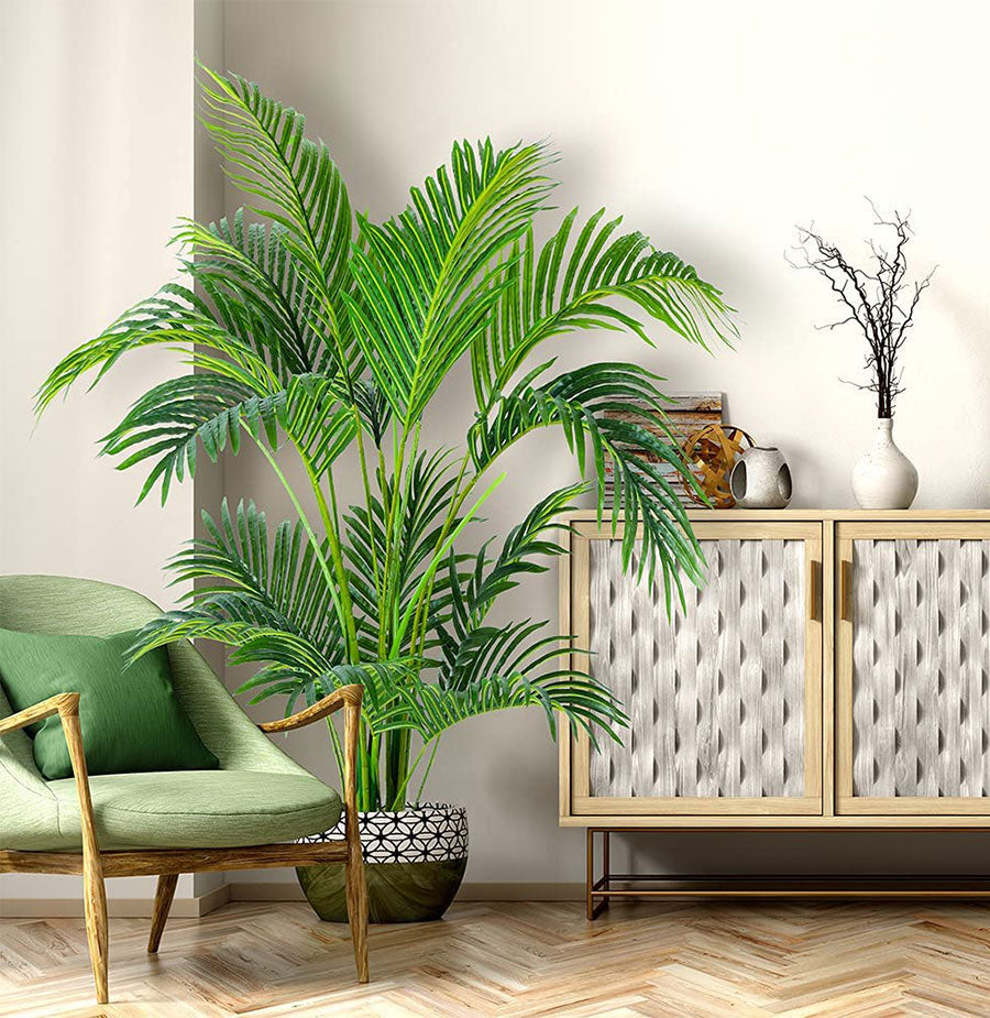 areca palm tree