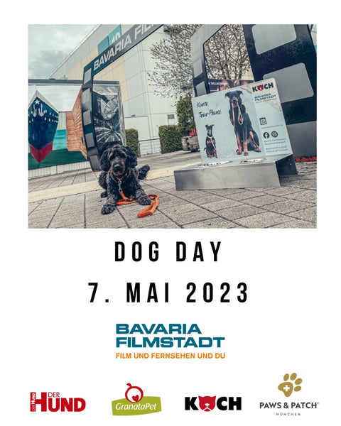 Dog Day 2023 Bavaria Filmstadt