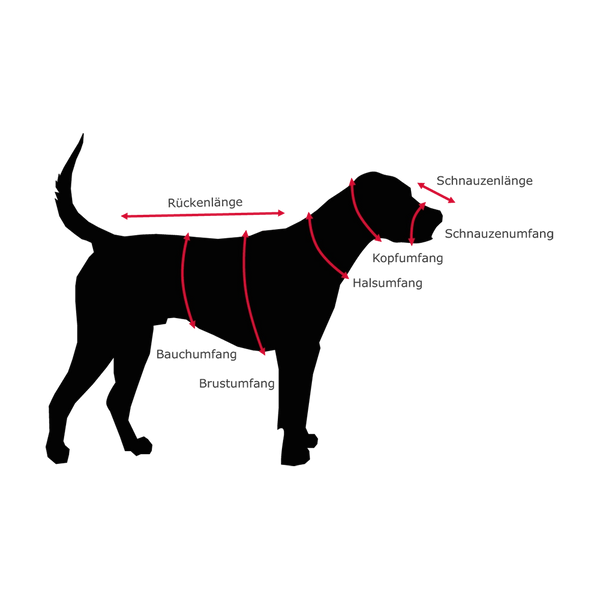 Messanleitung für Hundegeschirr und Hundehalsband | KOCH