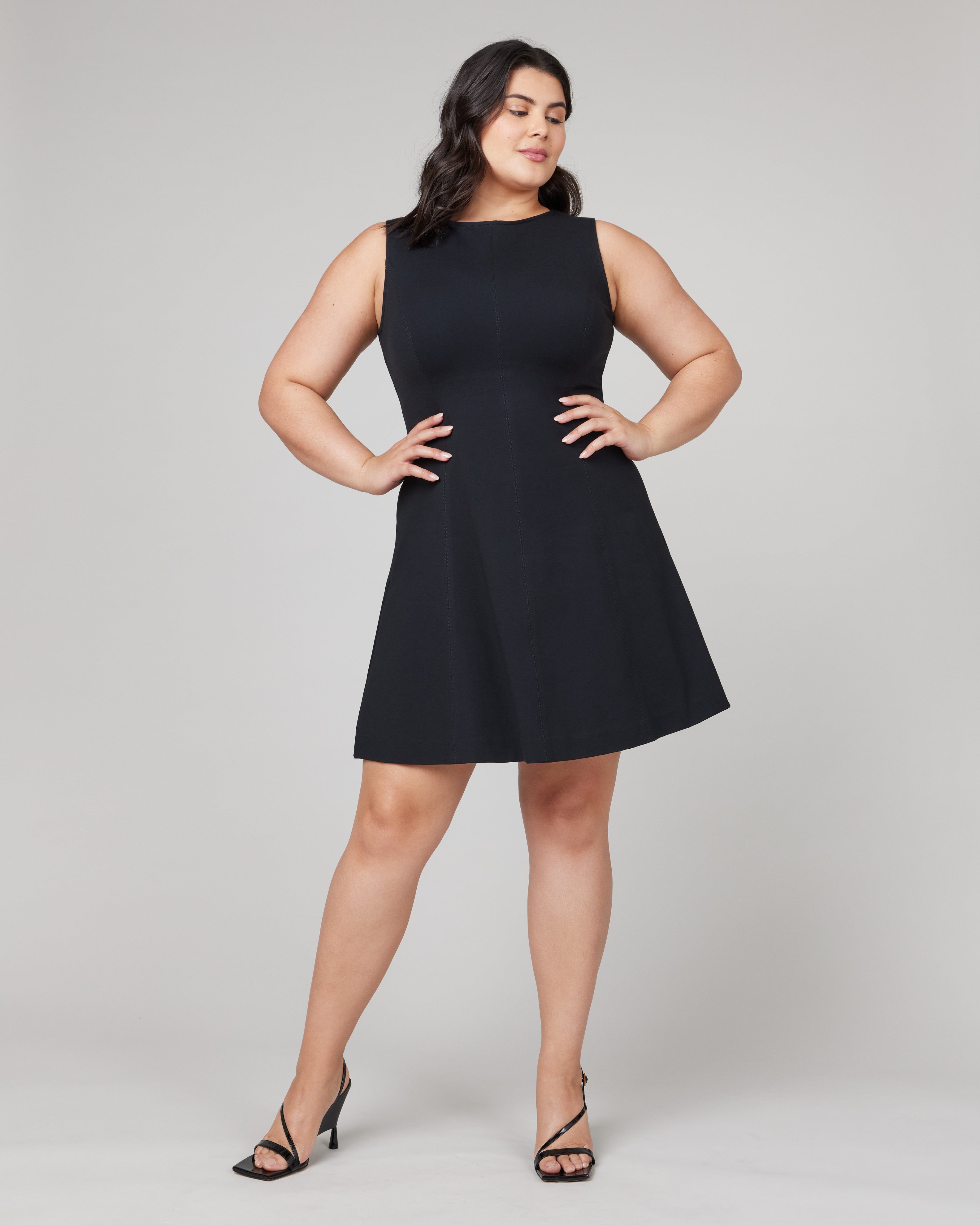 Image of The Perfect Fit & Flare Dress