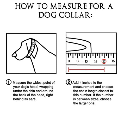 dog collar size