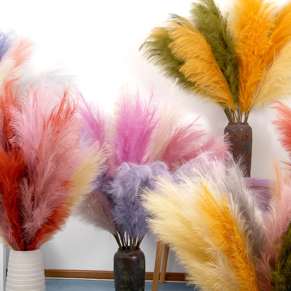 Pampas grass New exclusive colors – Transworld