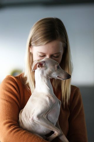 Familienleben mit Windhunden