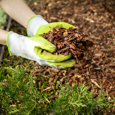 Mulch within your flowerbeds