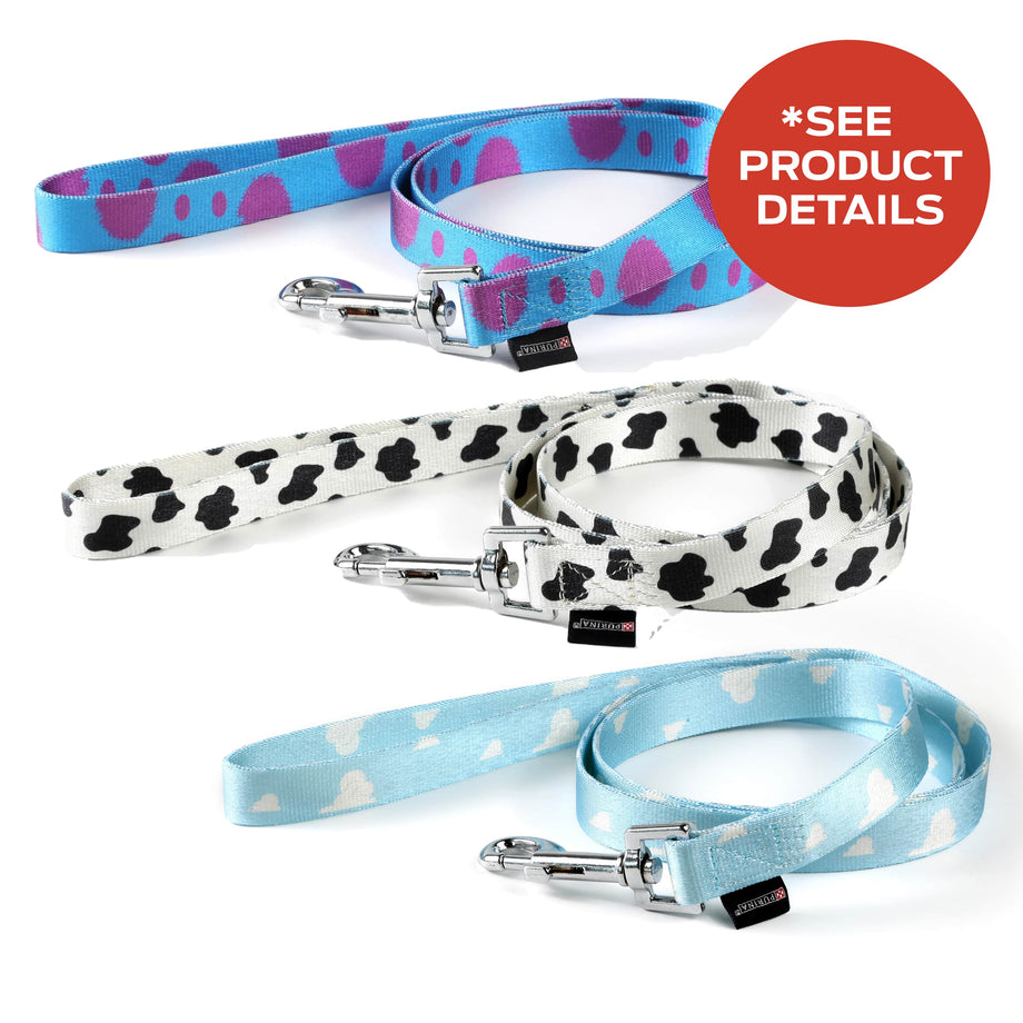 disney dog leash and collar