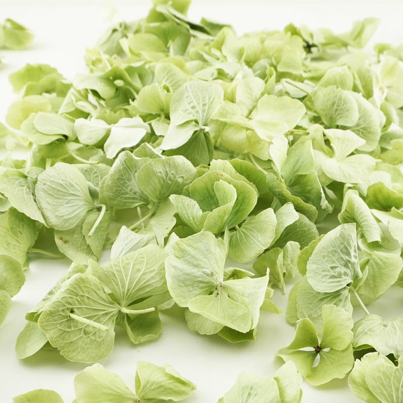 Freeze Dried Hydrangea Petal Confetti Mint Green Biodegradable Confetti