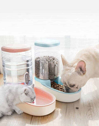 Automatic Feeder & Water Dispenser