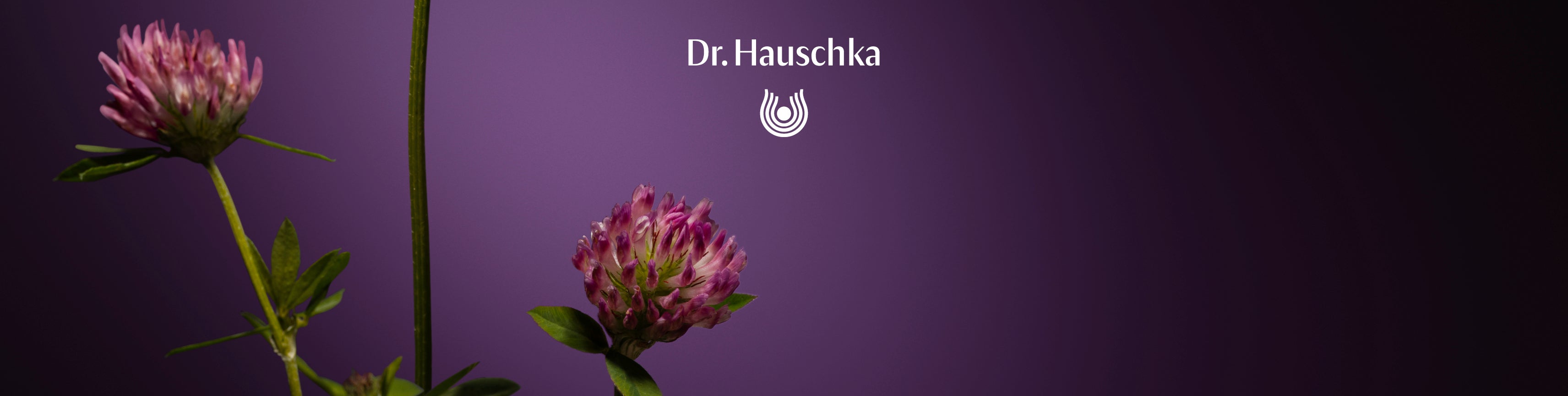 Dr Hauschka Regeneration