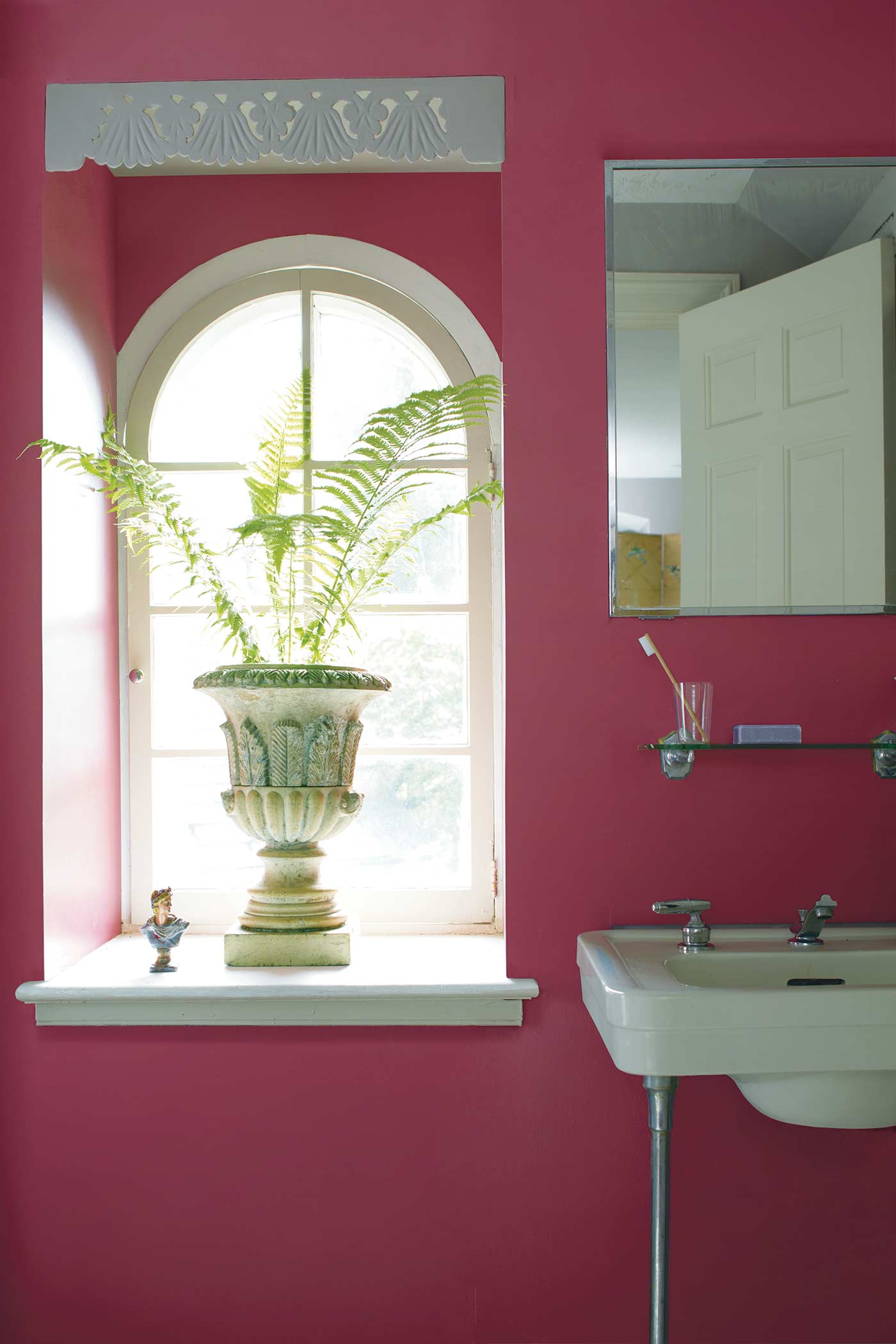 fern in a large pot on windowsill of a magenta coloured bathroom