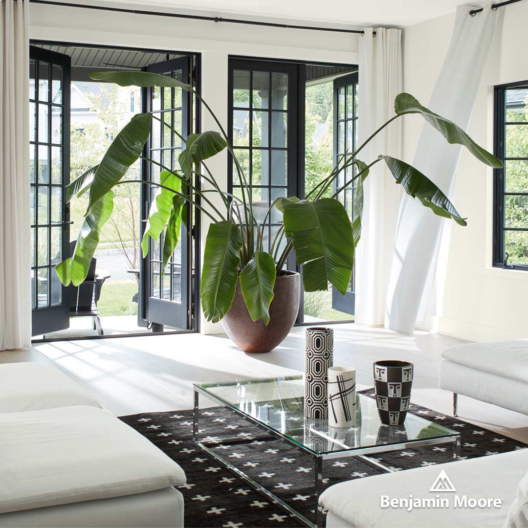 a glass coffee table in the centre of a room with a large pot plant in front of french doors leading to garden