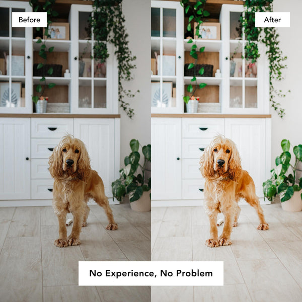 bright & airy lightroom presets personality type reading