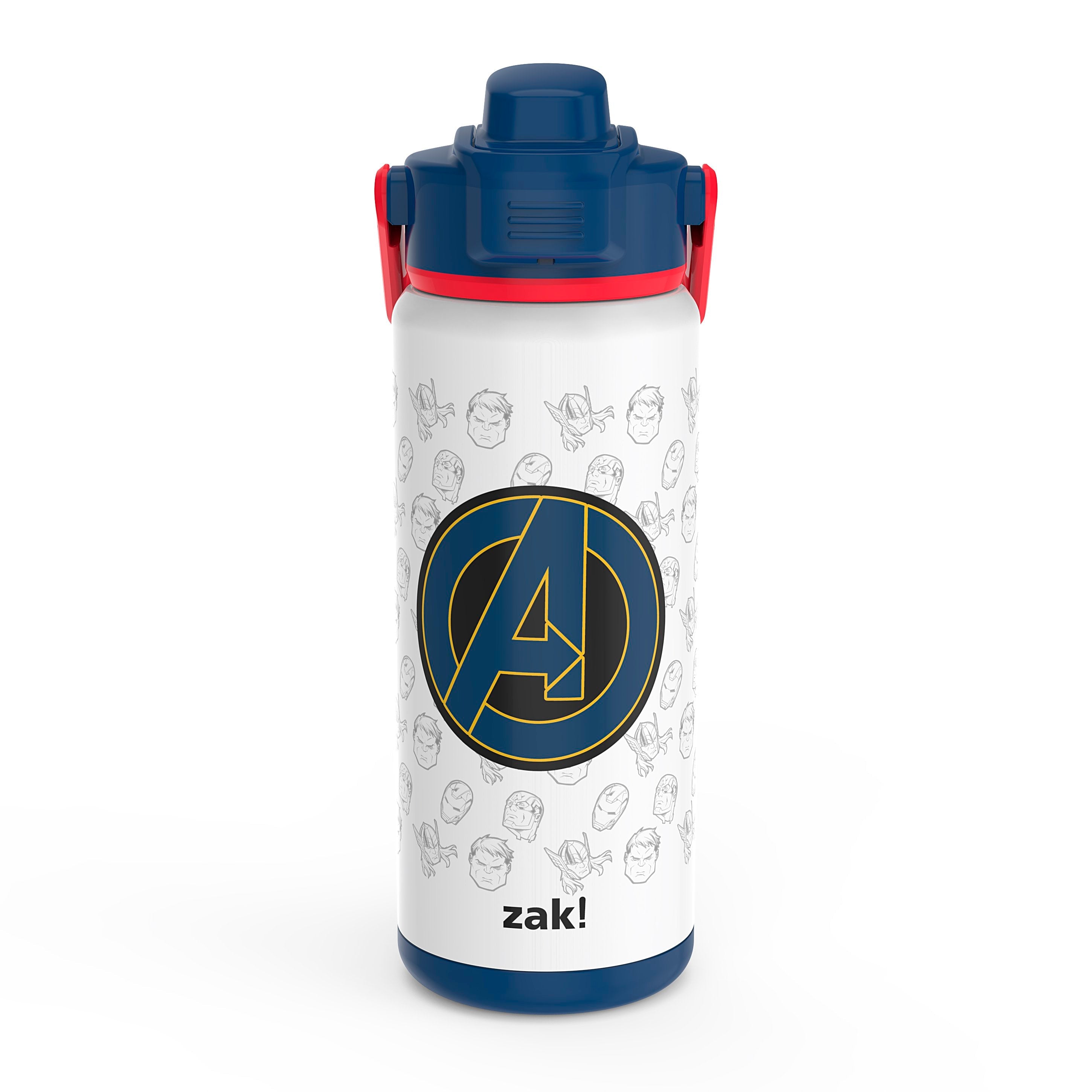 Zak Designs Harry Potter Antimicrobial 19 Ounce Stainless Steel Water Bottle,  Gryffindor, Hufflepuff, Ravenclaw, and Slytherin 