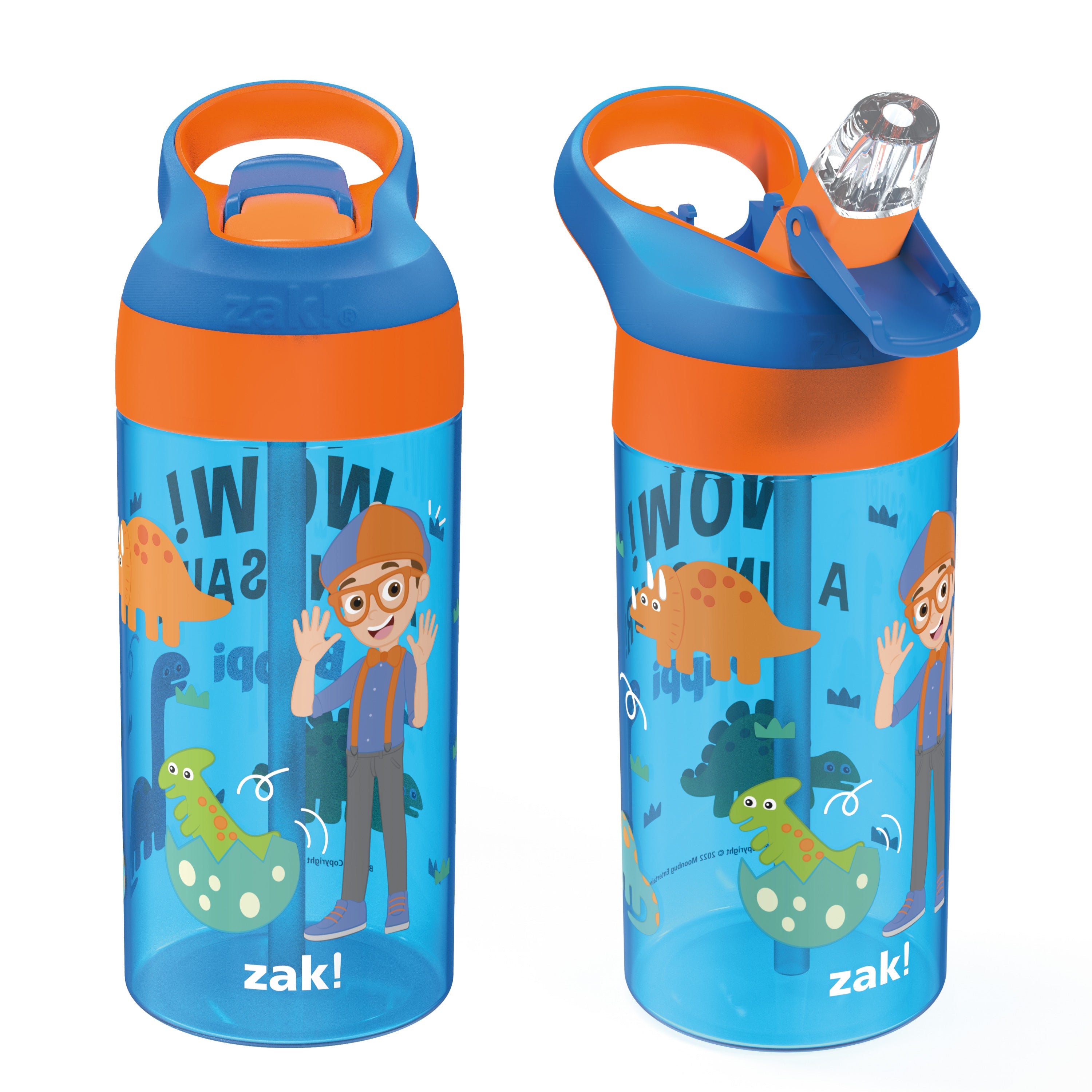 Zak Designs 16oz Riverside Beach Life Kids Water Bottle with Straw