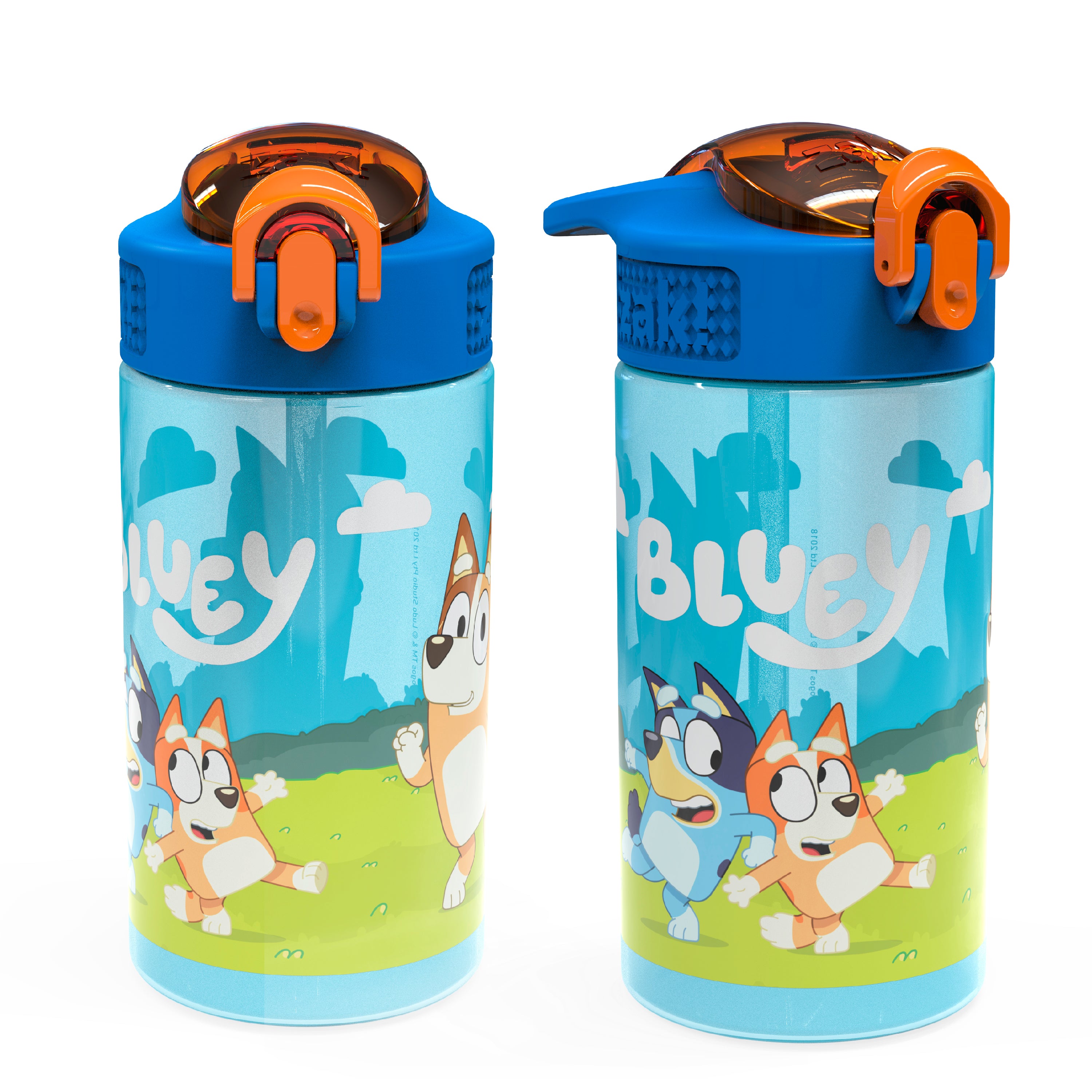 Zak Designs 15.5 oz Kids Water Bottle Stainless Steel with Push-Button and  Locking Cover, Paw Patrol Skye 