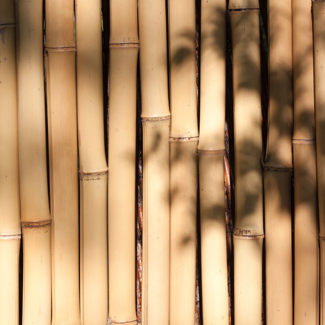 The natural strength and durability of bamboo