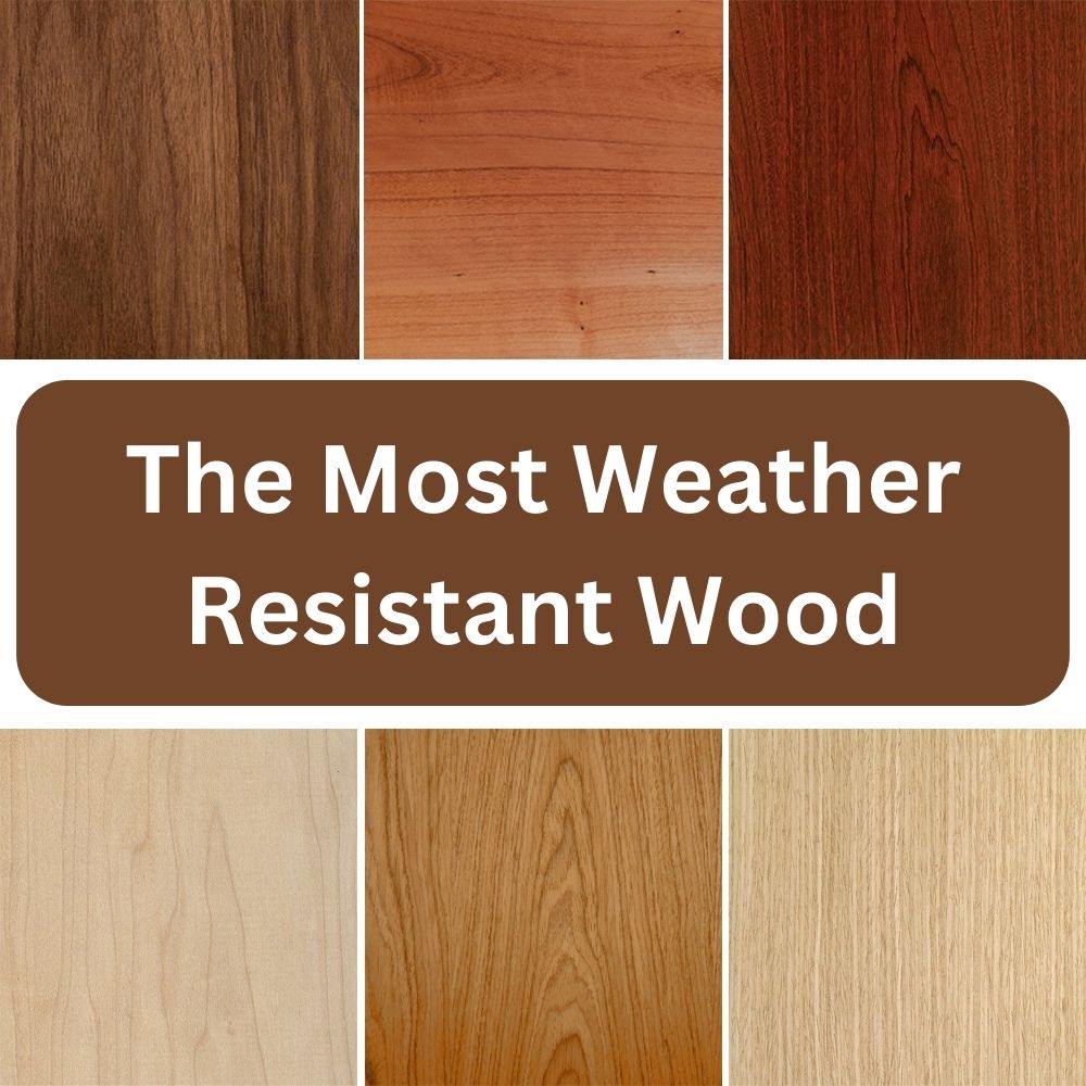 most weather resistant wood