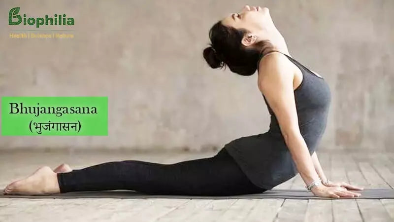 Bhujangasana Yoga