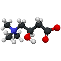 L-Carnitine