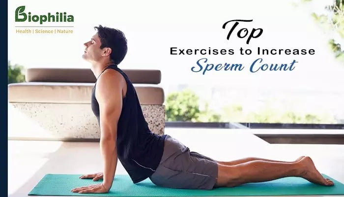 Top Exercises to Increase Sperm Count