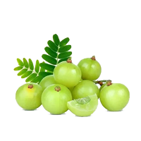 Amla