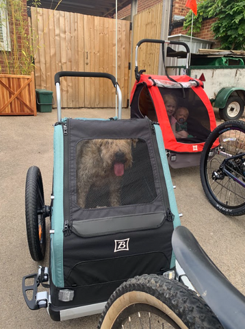 Why get a Dog Trailer or Stroller? – Kids Bike Trailers