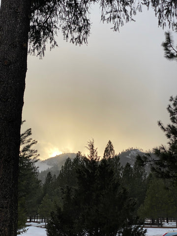 The silhouette of a straight tree trunk frames the left edge of a dramatic photo of a mountain horizon with light breaking over the peaks from behind the range while hazy storm clouds linger overhead.