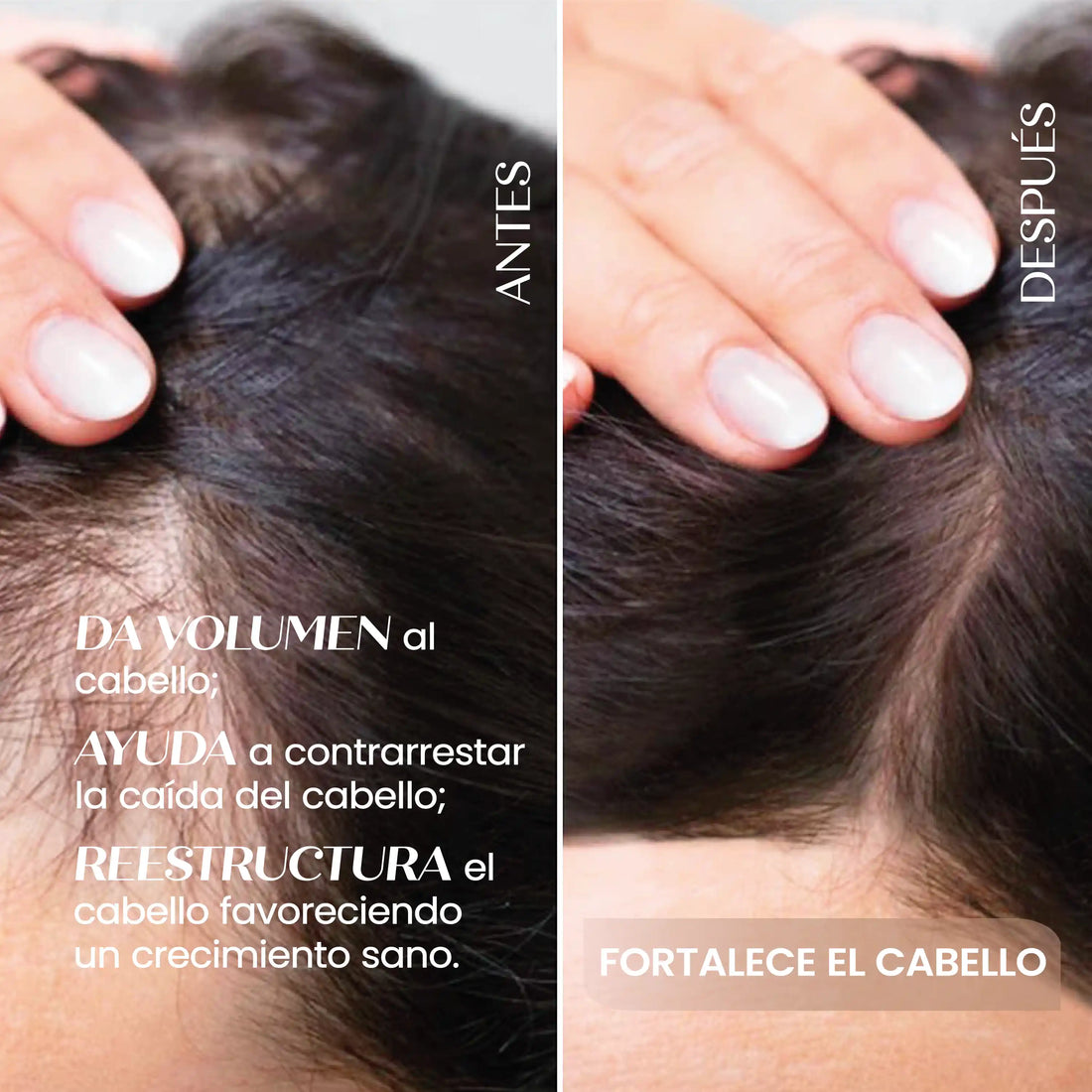 Shampoo Solido Vegan Senza Parabeni 4Shampoo Volumizzante Capelli Deboli