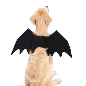 bitepets Halloween Costume For Pet Cosplay