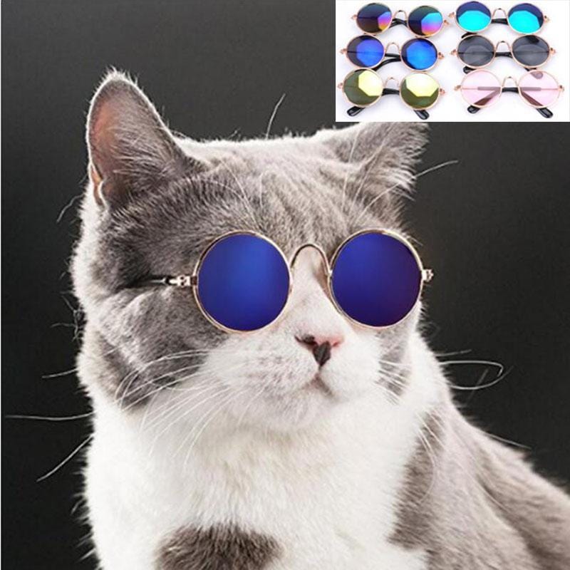 bitepets Bitepets™️ cool cat sunglasses with golden chain toy