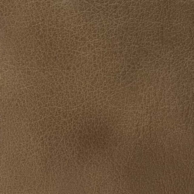 American Tradition - Grade 1 - Brinson Buckskin